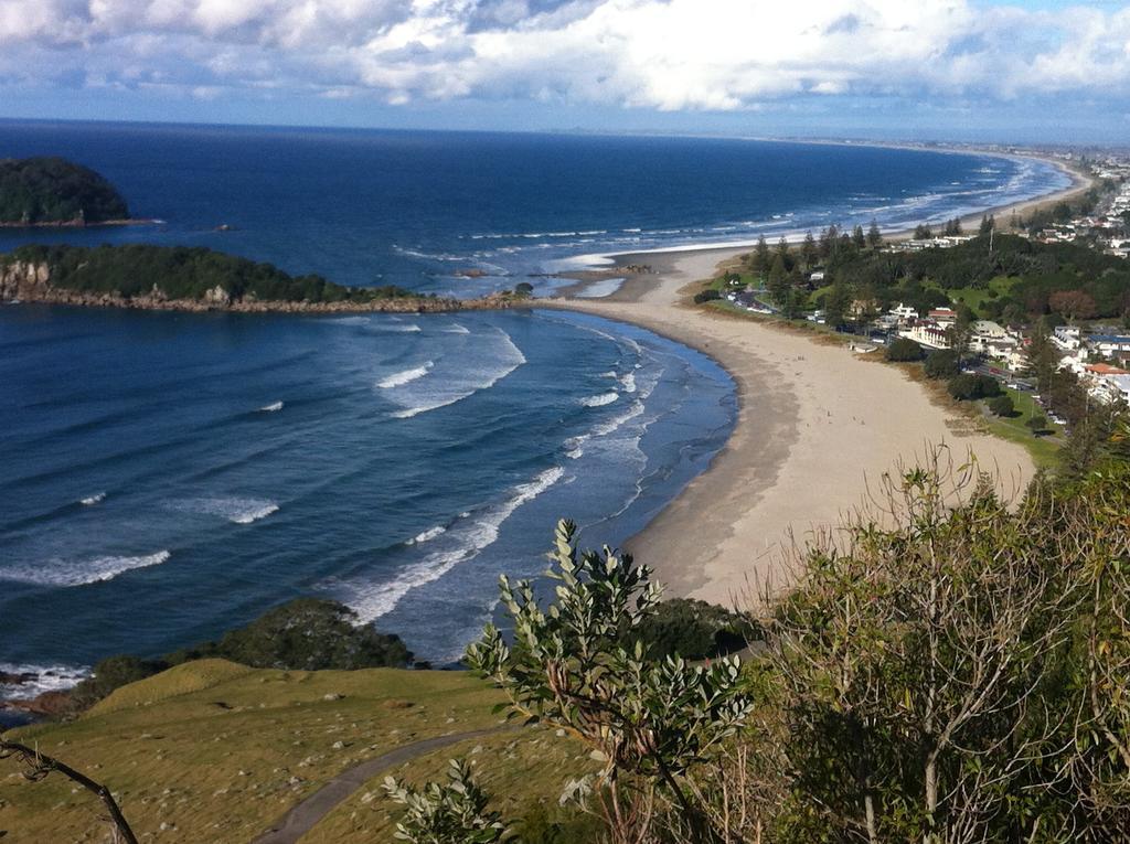 Seagulls Guesthouse Mount Maunganui Eksteriør billede